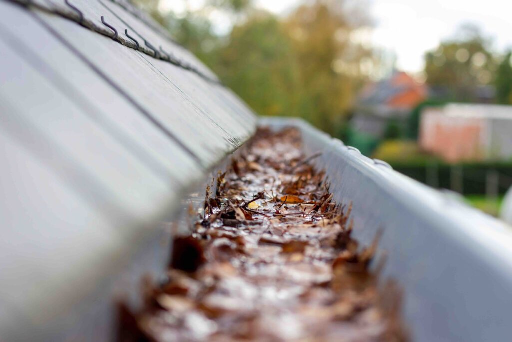 Gutter cleaning 5
